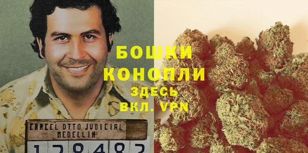 прущие грибы Абдулино