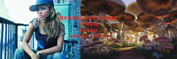 прущие грибы Абдулино
