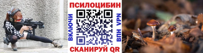 Галлюциногенные грибы MAGIC MUSHROOMS  где купить наркотик  Алейск 