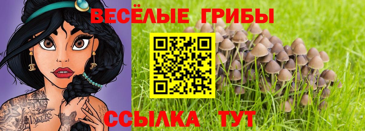 Галлюциногенные грибы Cubensis Алейск