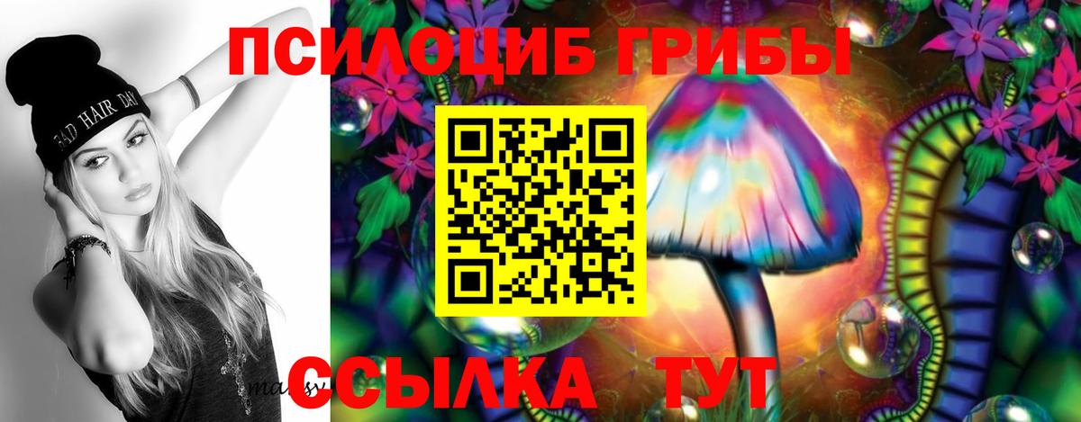 Псилоцибиновые грибы мухоморы  Вход с VPN  Алейск 