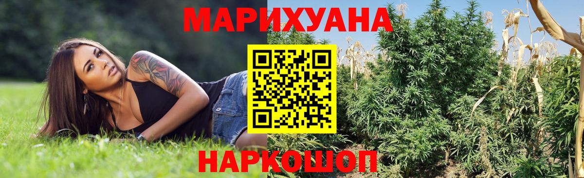 МАРИХУАНА ГИДРОПОН  Вход с VPN  Конопля THC 21%  Алейск  МАРИХУАНА конопля  Каннабис THC 21% 